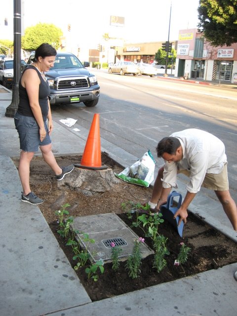 Guerilla Gardening in front of Flying Pigeon LA