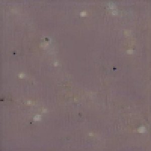 Cover art for the song 'a billion butterflies'