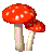 Two red mushrooms